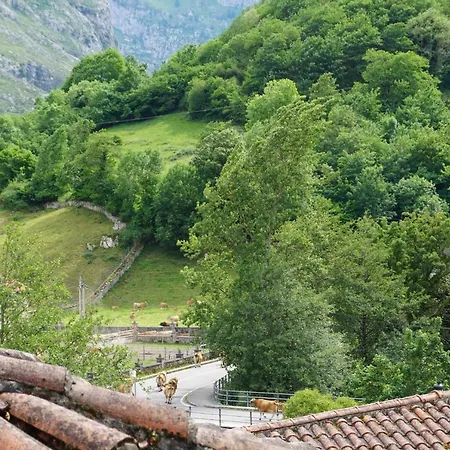 Apto Rurales Y Monte Caoru - Cabrales شقة 3*